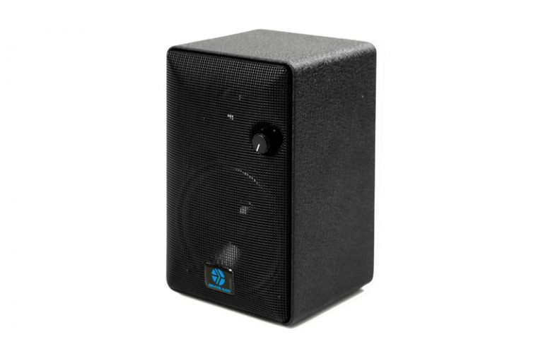 SpeakEasy™ V3B & v4BT Remote Audio